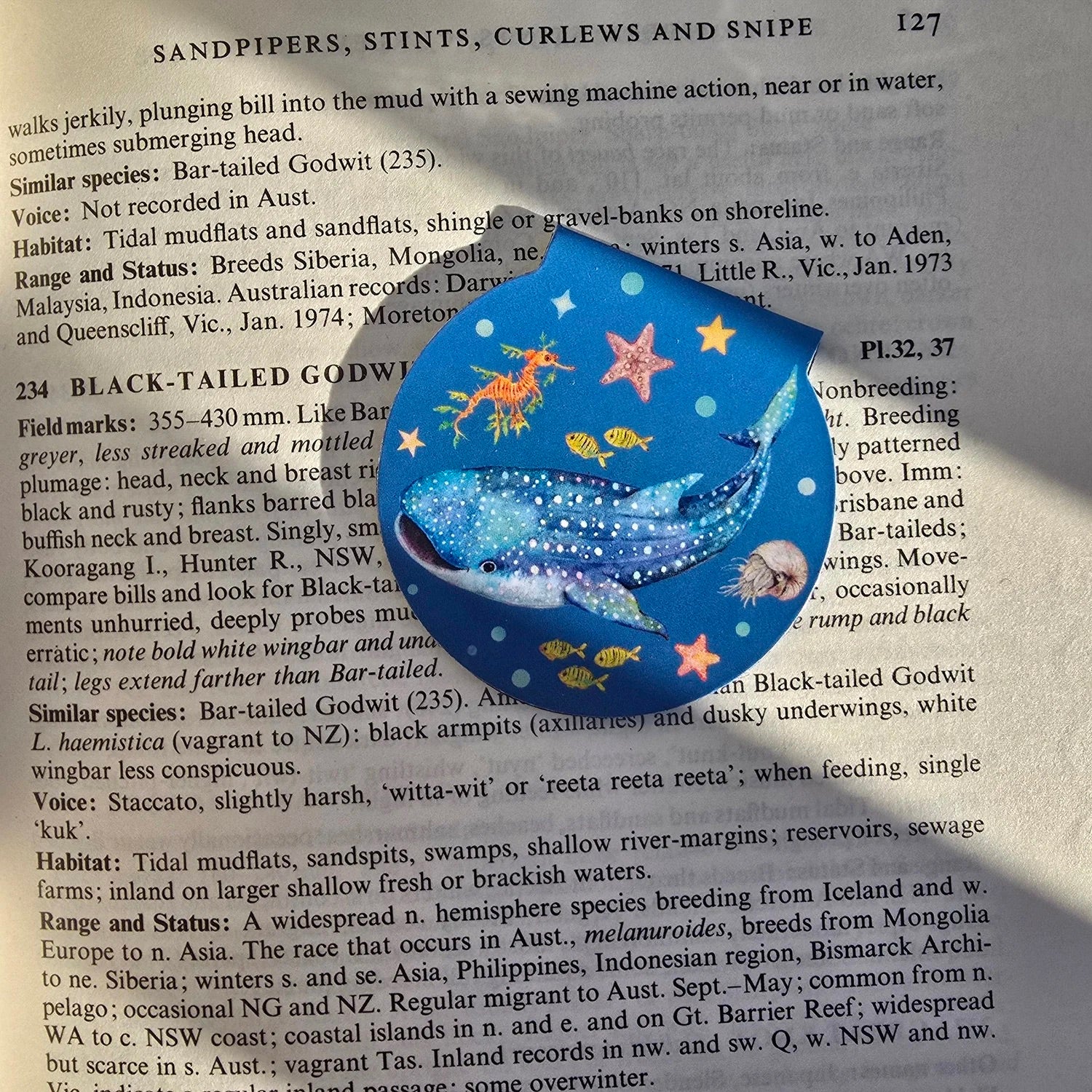 Magnetic Bookmark (Single)