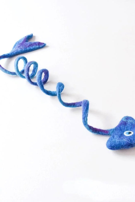 Fish Spring Toys