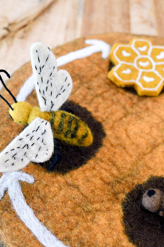 Bee Life Cycle