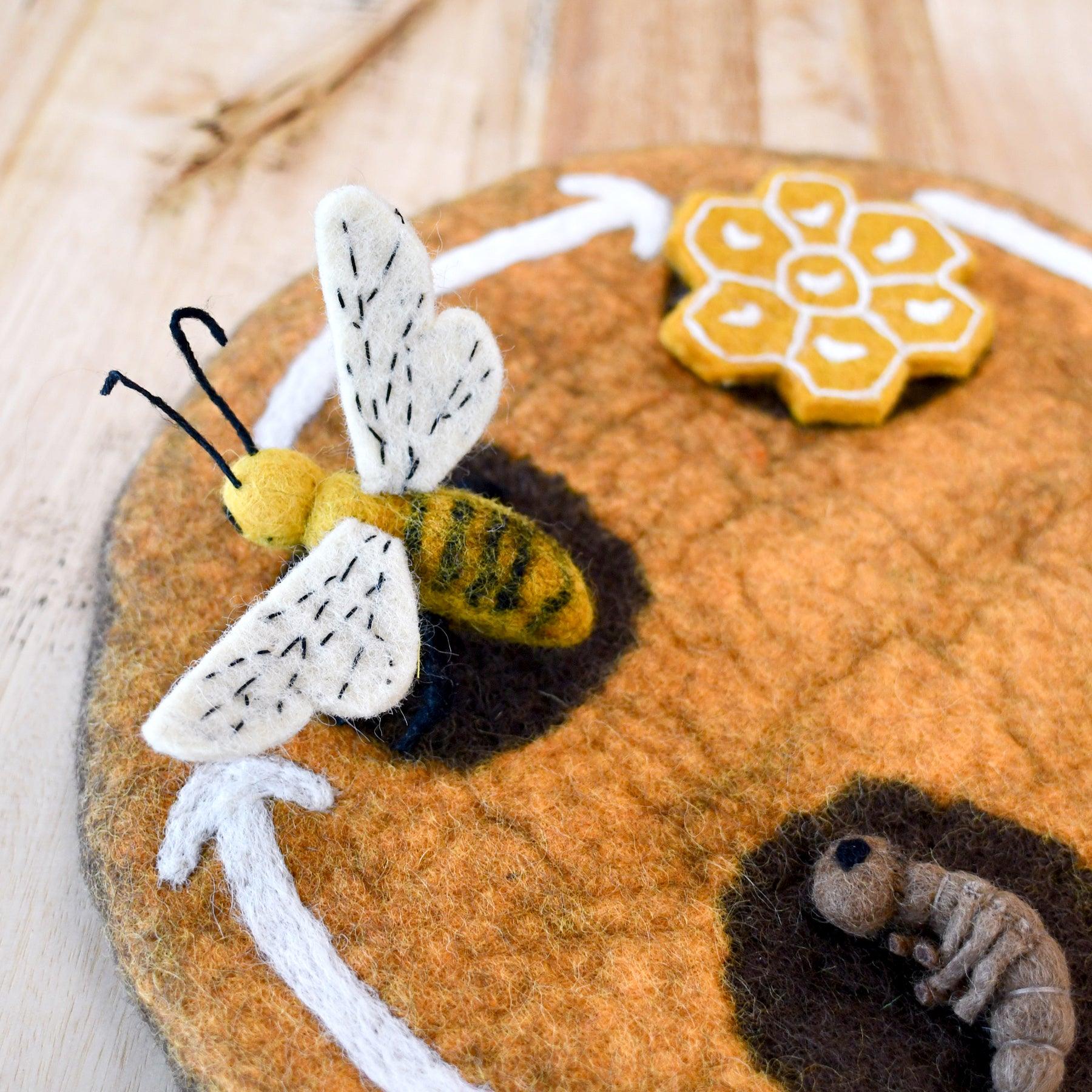 Bee Life Cycle