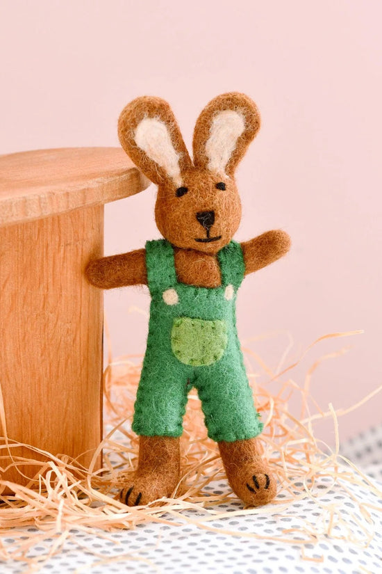 Rabbit in Overalls