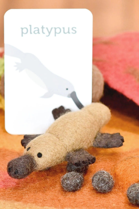 Australian Platypus