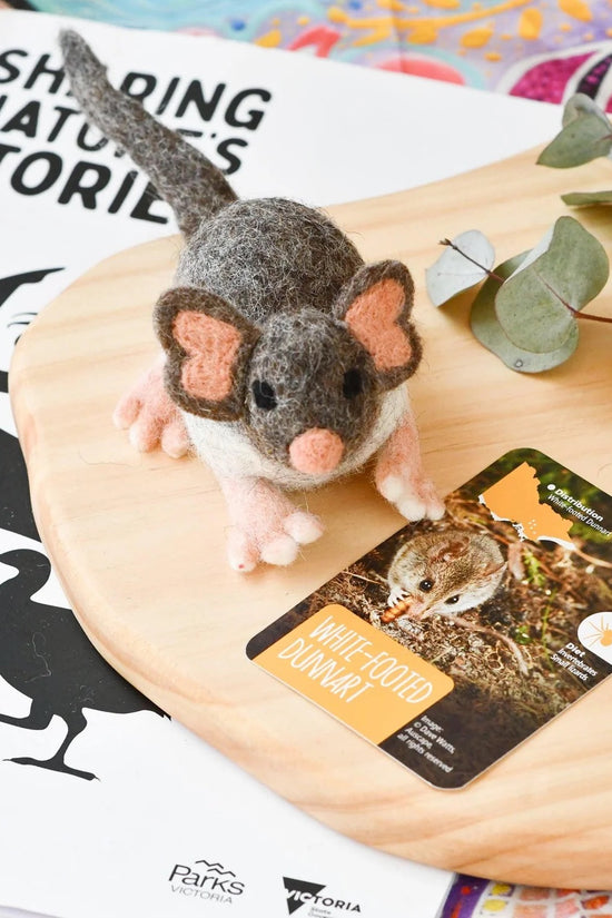 Native White-Footed Dunnart