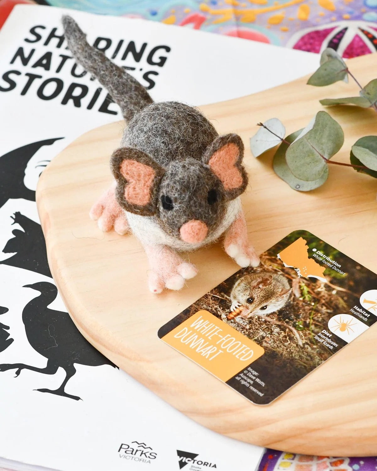 Native White-Footed Dunnart