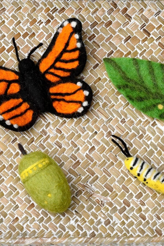 Felt Butterfly Life Cycle Educational Set