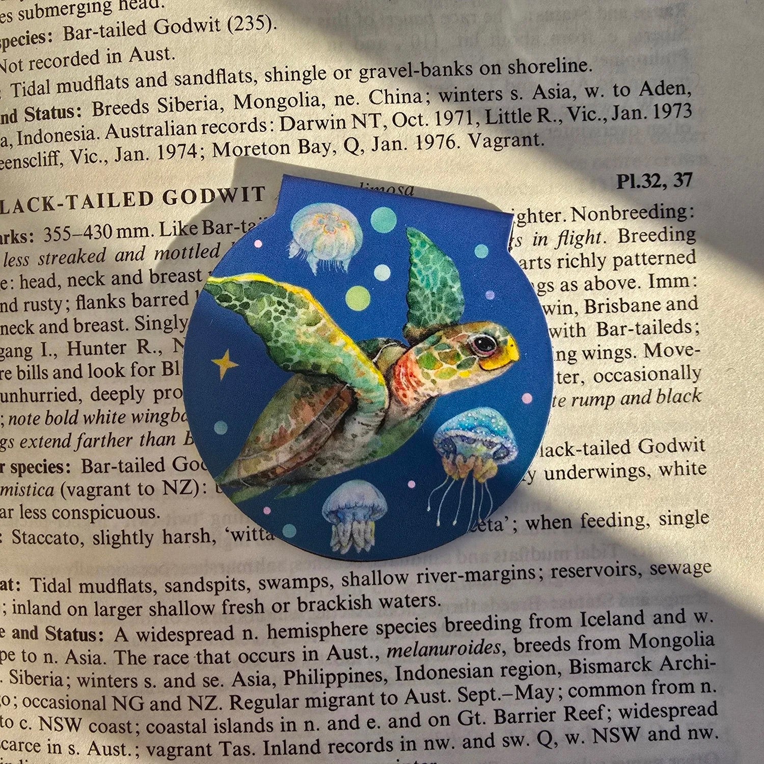 Magnetic Bookmark (Single)