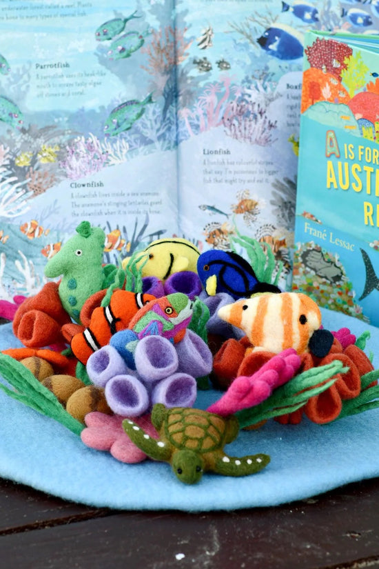 Coral Reef Playscape
