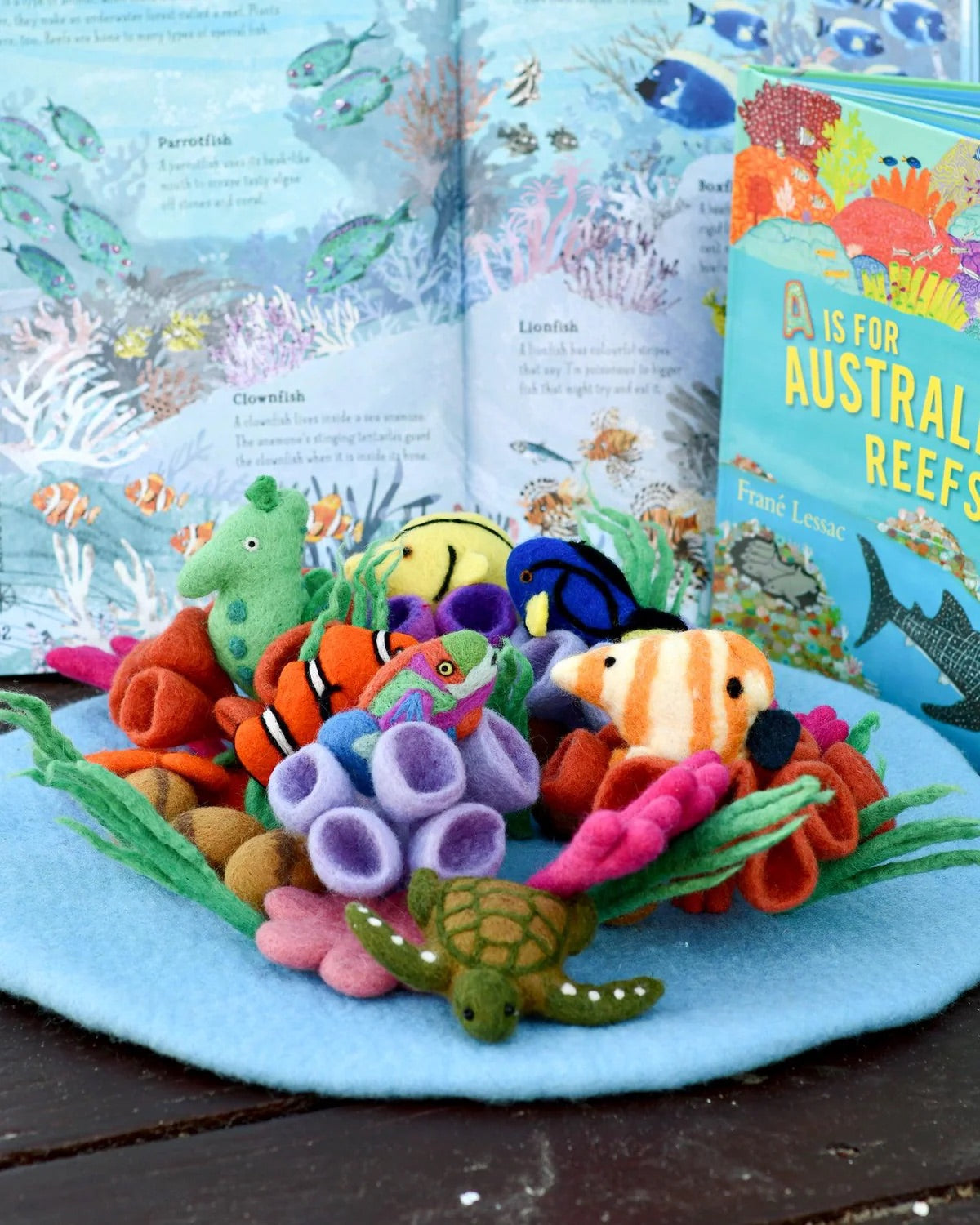 Coral Reef Playscape