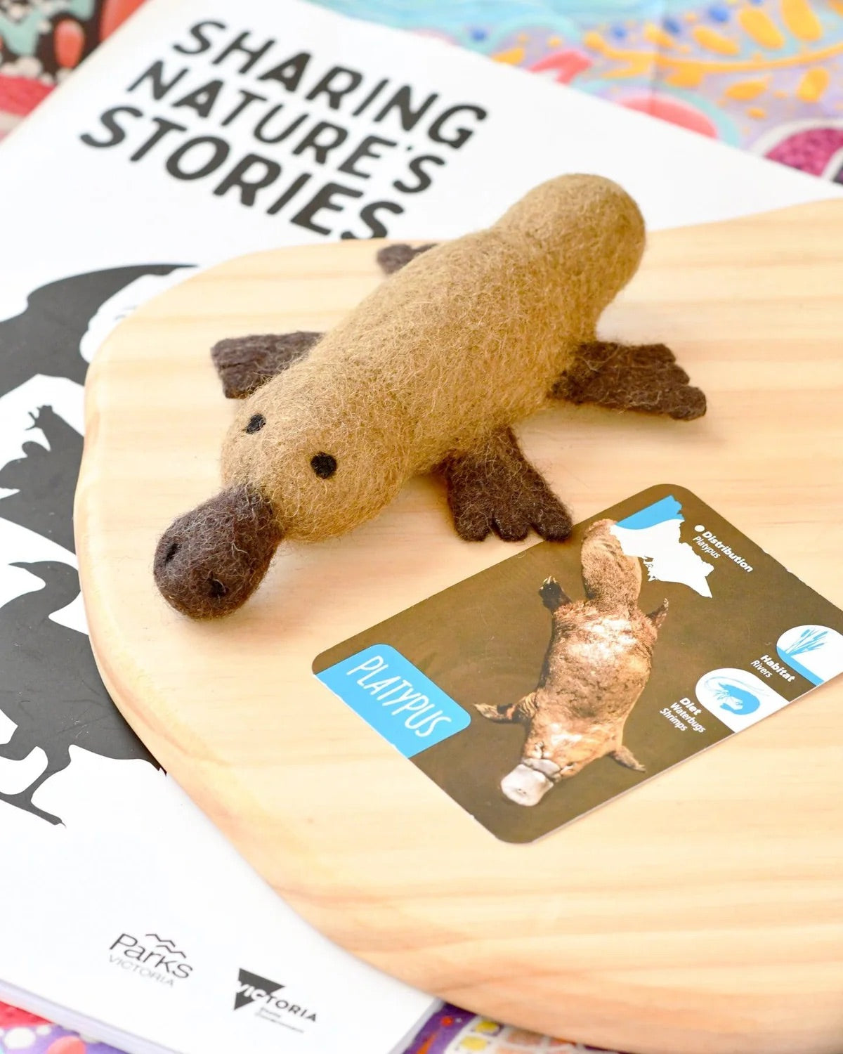 Australian Platypus