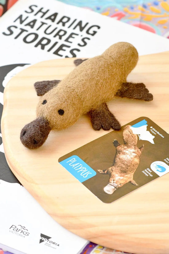 Australian Platypus