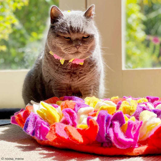 Snuffle Mat