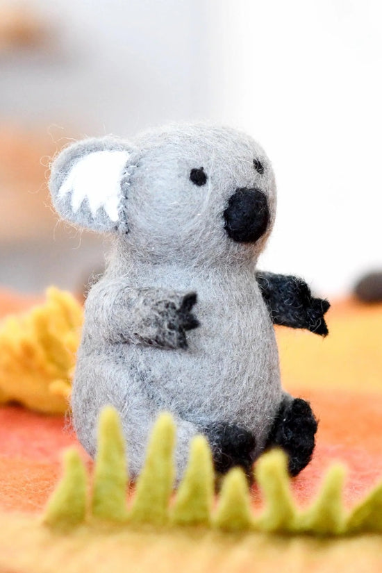 Australian Koala