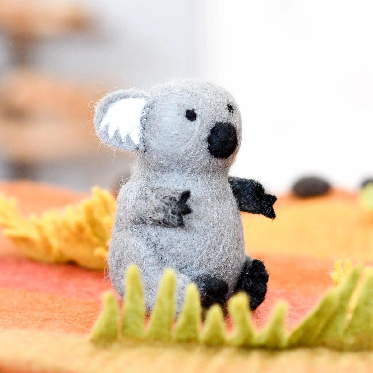Australian Koala