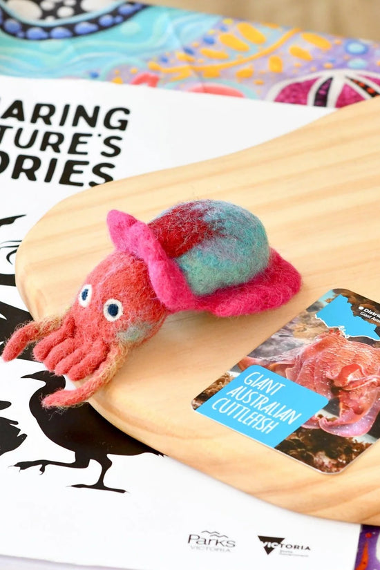 Native Giant Cuttlefish
