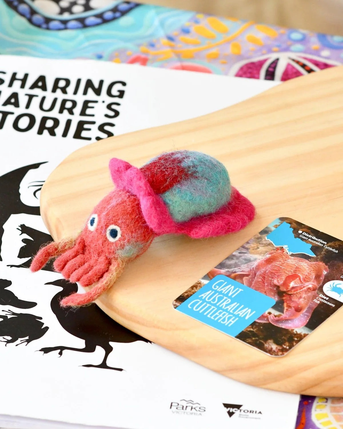 Native Giant Cuttlefish