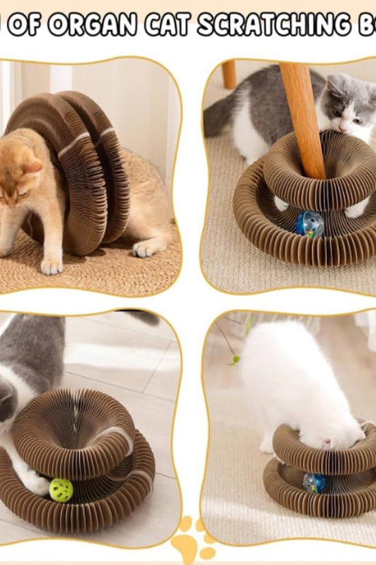 Accordion Style Cat Scratcher Toy