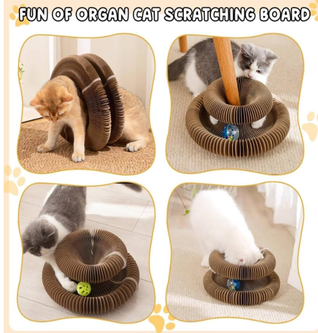 Accordion Style Cat Scratcher Toy