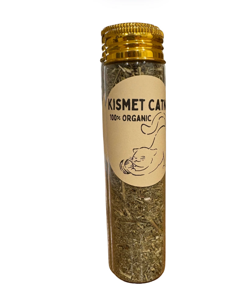 Catnip Organic (10grams)