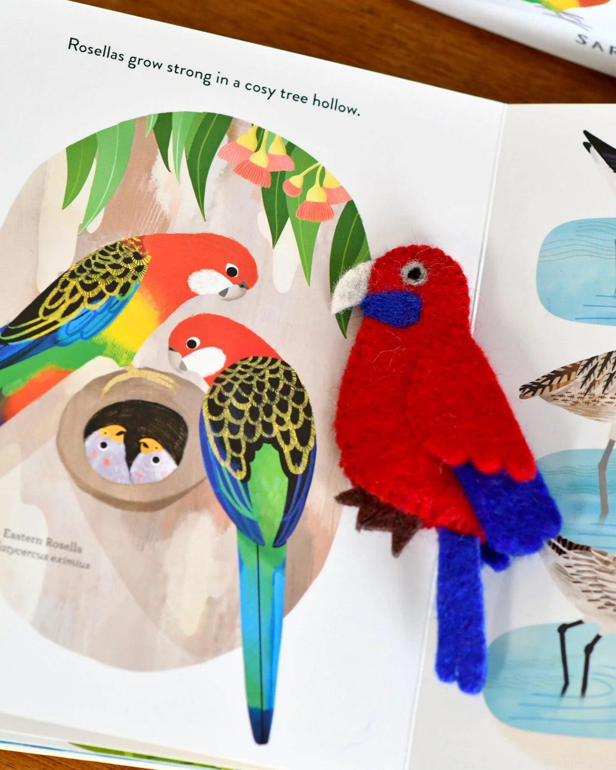Busy Beaks Book and Finger Puppet Set