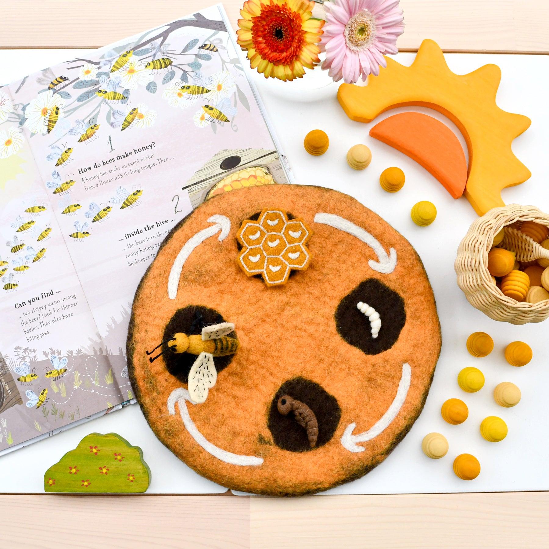 Bee Life Cycle