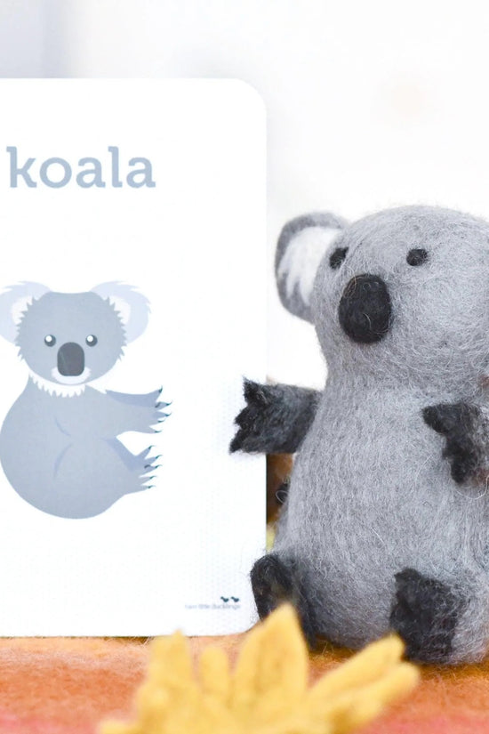 Australian Koala