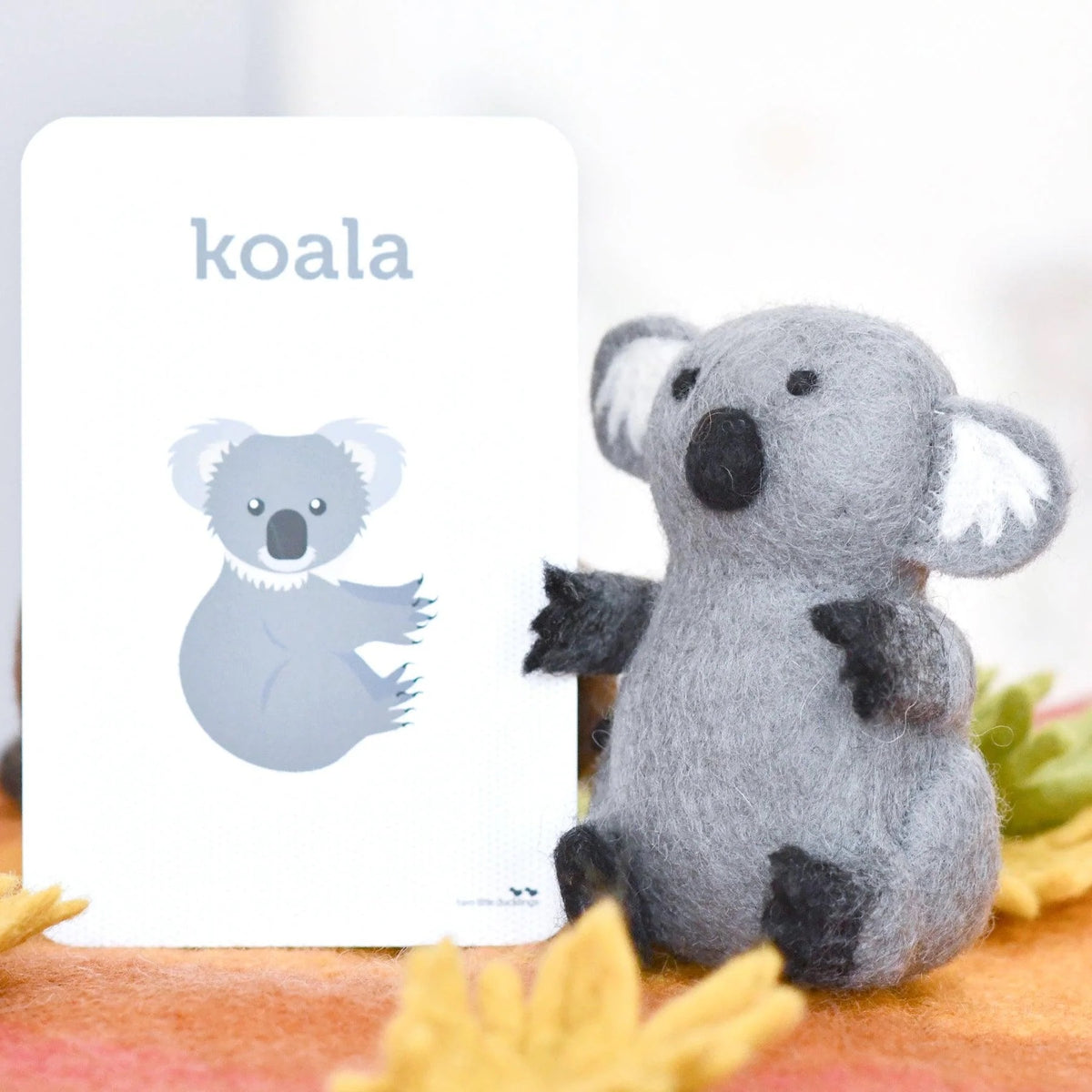 Australian Koala