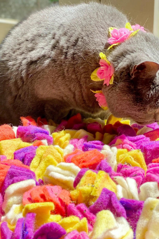 Snuffle Mat