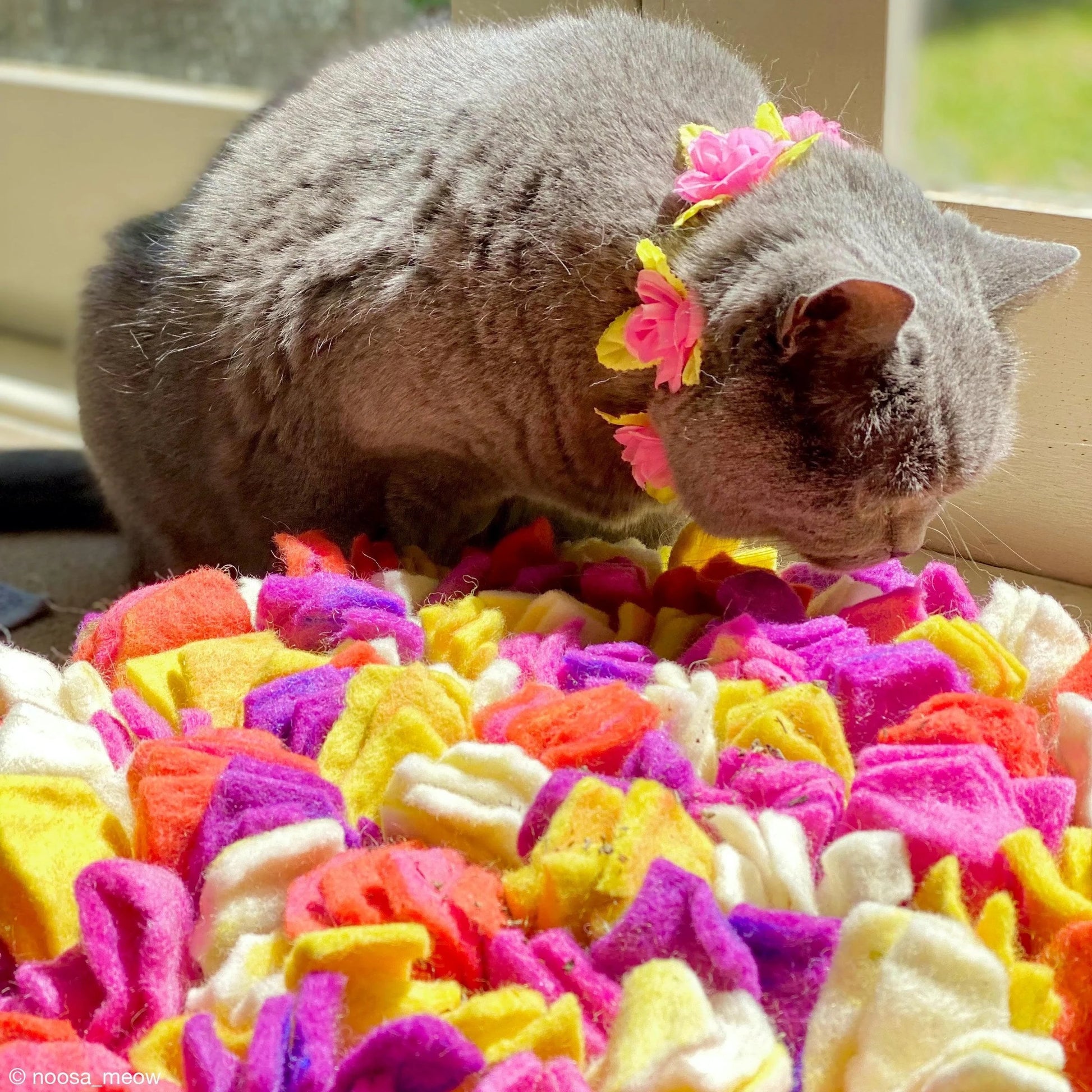 Snuffle Mat