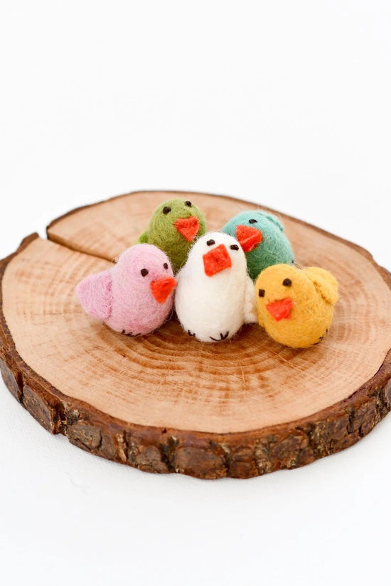 Baby Chick - Single
