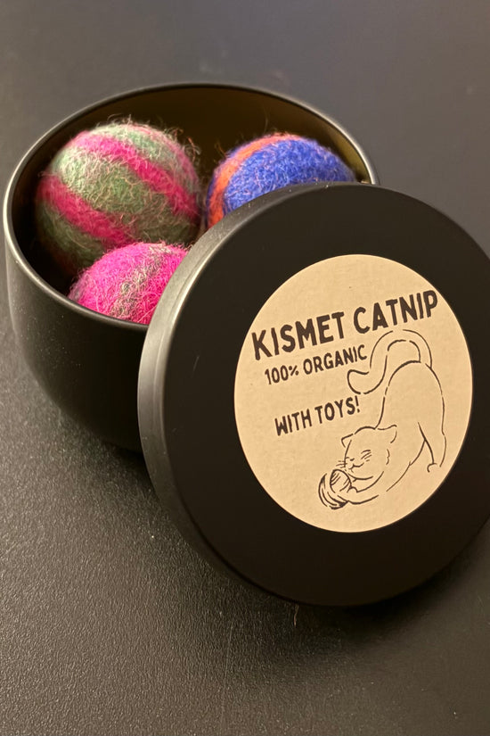 Interactive Swirly Balls with Catnip
