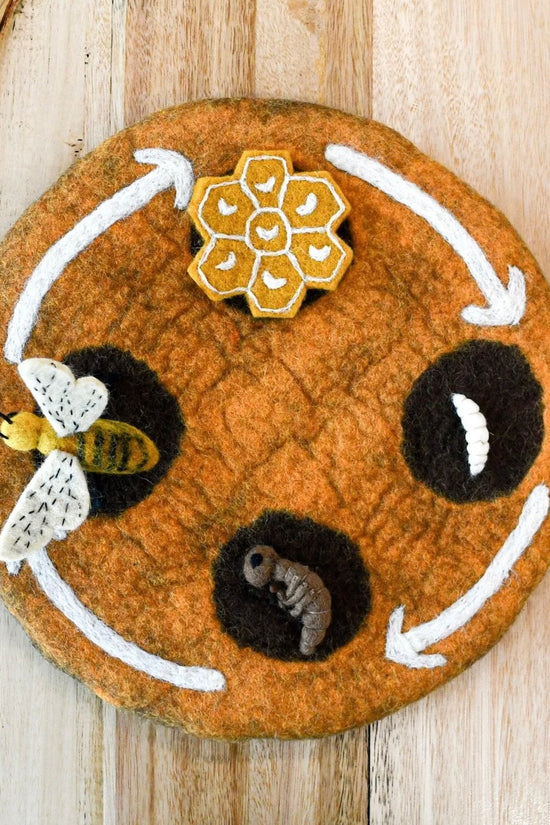 Felt Bee Life Cycle Educational Set