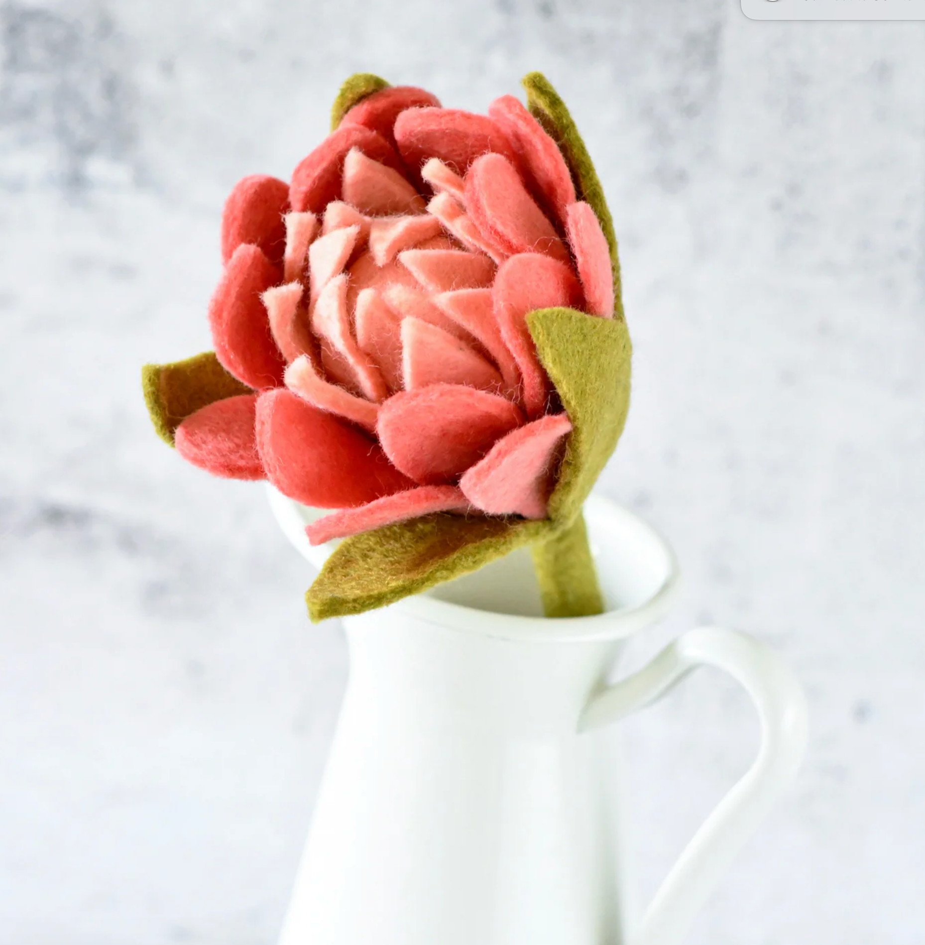 Flower - Protea