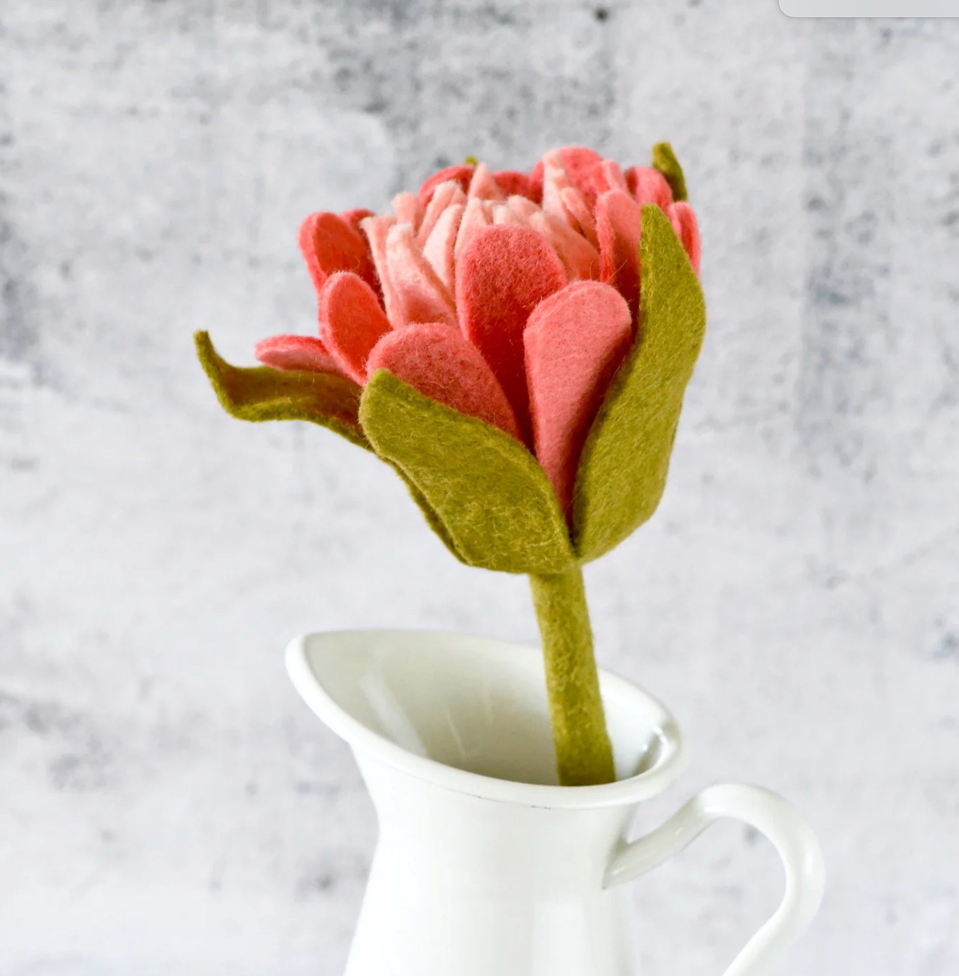 Flower - Protea