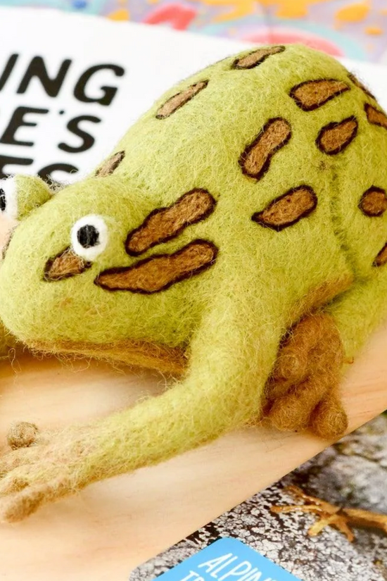 Alpine Tree Frog Australian