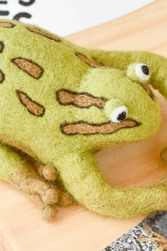Australian Alpine Tree Frog