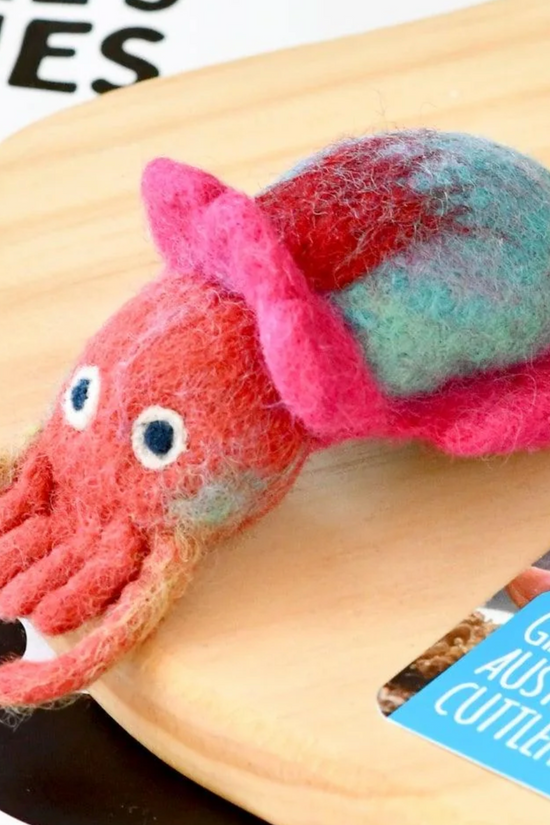 Australian Giant Cuttlefish