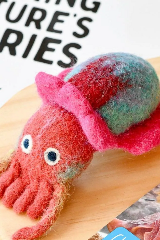 Giant Cuttlefish Australian 