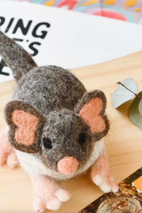 Australian White Footed Dunnart