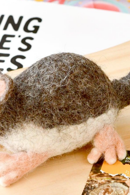 White Footed Dunnart Australian