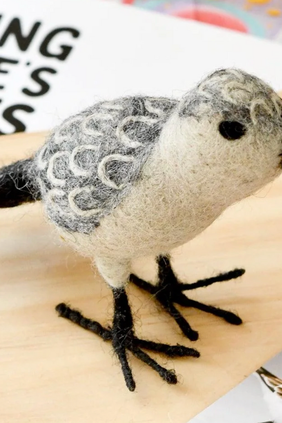 Australian Red Necked Stint