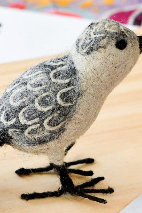 Red Necked Stint Australian 