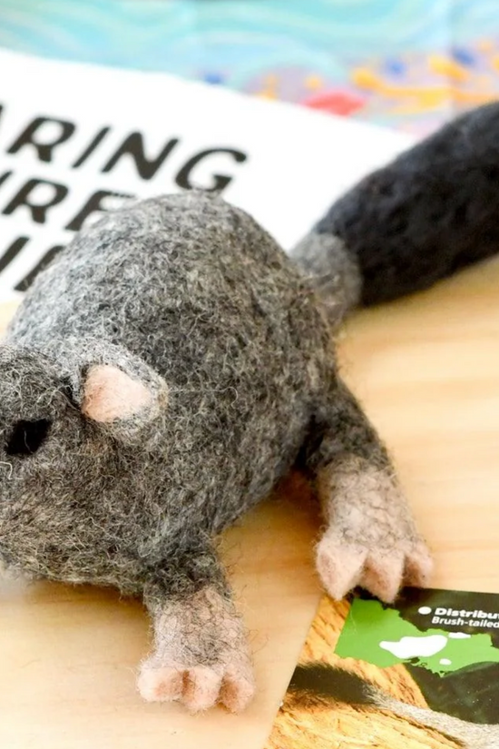 Australian Brush Tailed Phascogale