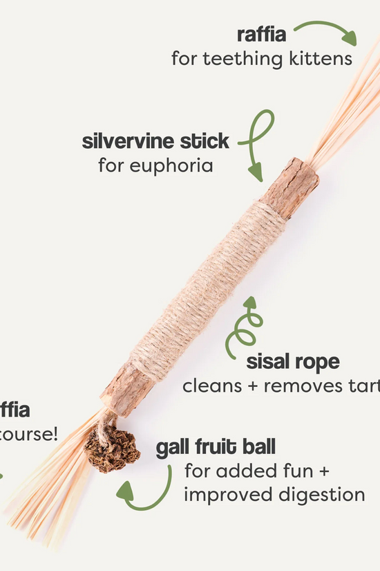 Cat Enrichment Silvervine Chew Sticks