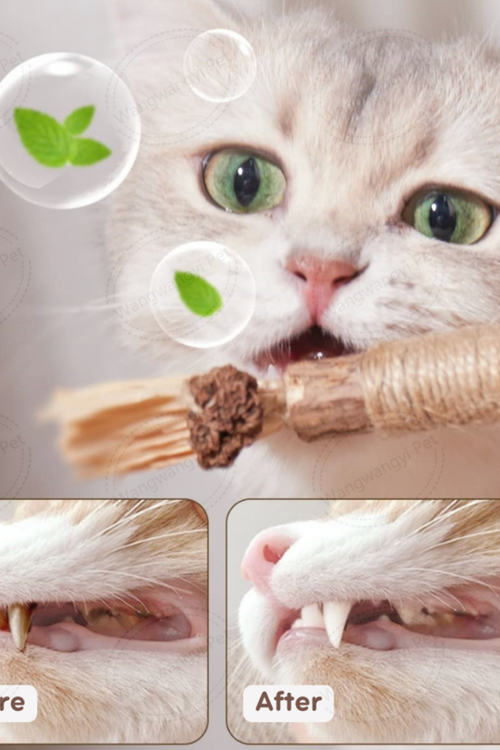 All-Natural Silvervine Cat Treat Sticks