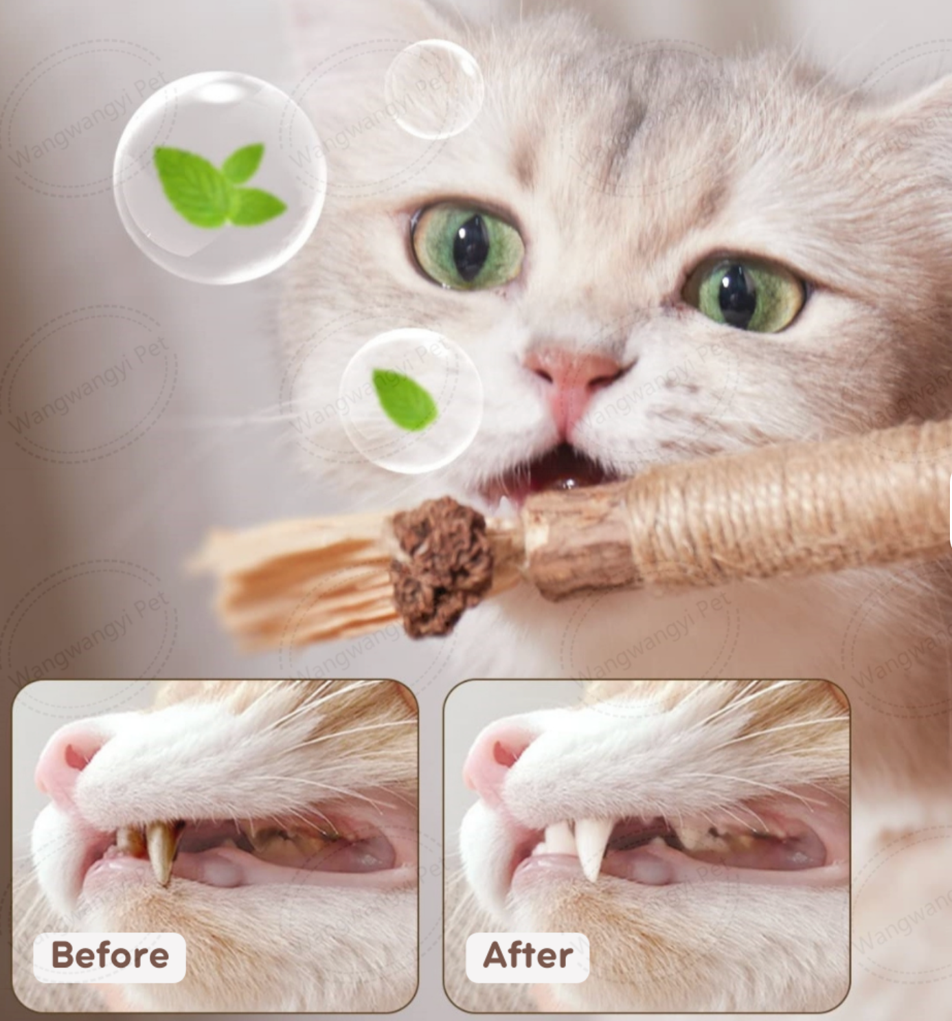 All-Natural Silvervine Cat Treat Sticks