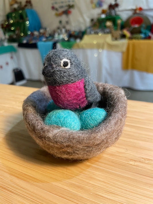 Robin Bird in Nest with 3 Eggs