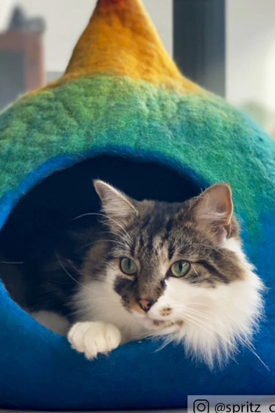 Cute Blue Rainbow Teardrop Cave