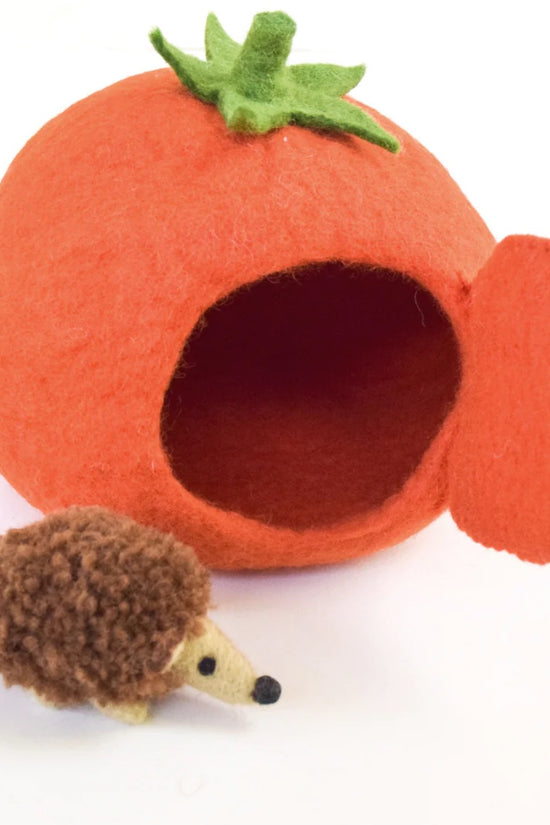 Handmade Tomato House