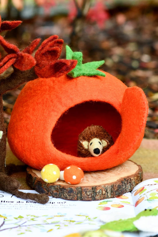 Mini Tomato Fairy House