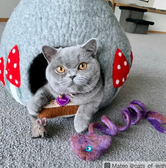 Handmade Mushroom Teardrop Cave